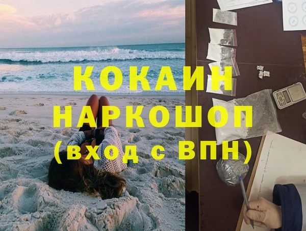 трава Белокуриха