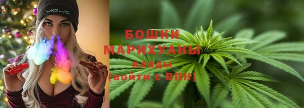 трава Белокуриха